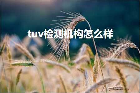 跨境电商知识:tuv检测机构怎么样