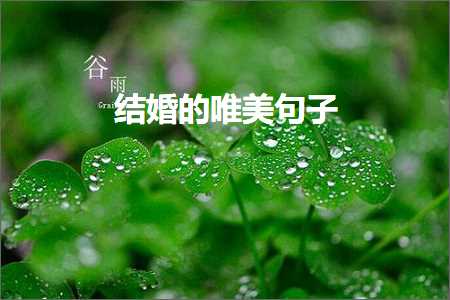 鎯虫壘瀵硅薄鍞編鍙ュ瓙锛堟枃妗?65鏉★級